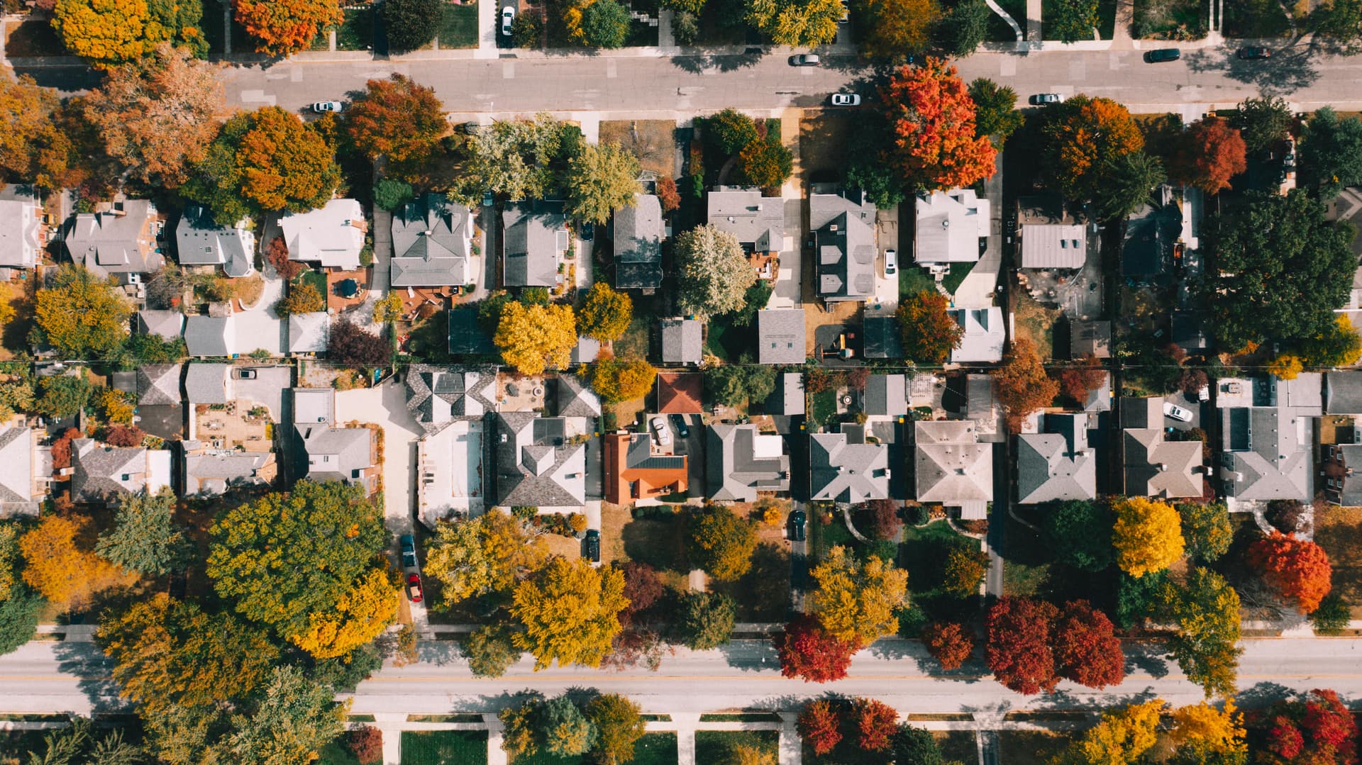 Aerial view of a leafy suburban neighborhood of single-family homes among vivid autumn foliage